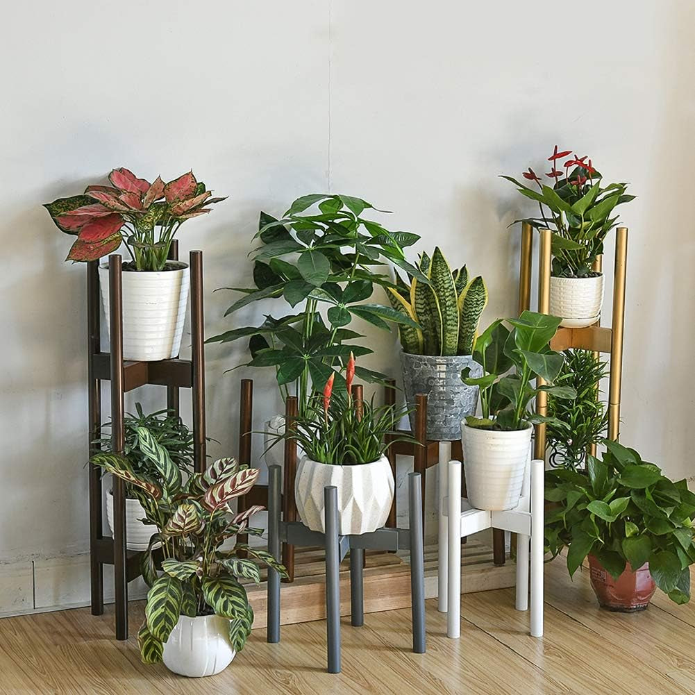 🌿✨ Elevate Your Greenery! 🌟 Get our Stackable & Adjustable 2-Tier Plant Stand Set (30'' Gold) for a stylish indoor garden! 🪴💛 #HomeDecor #PlantLovers