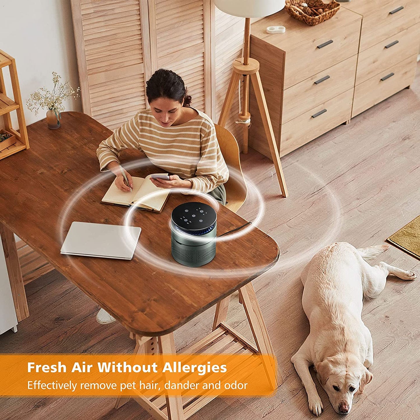 "Ultimate HEPA Air Purifier for Home & Bedroom - 4-Stage Filtration for Smoke & Allergens (Stylish Gray)"